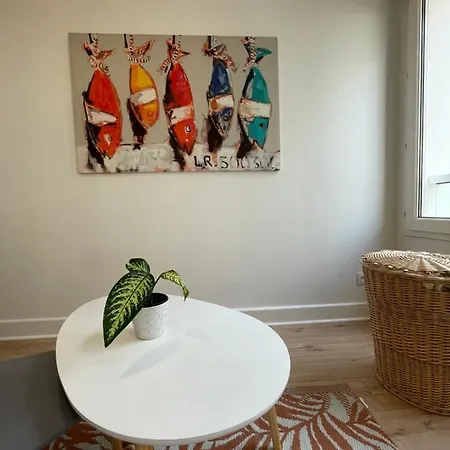 Hyper Centre Port Appartement